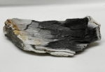 Versteinertes Holz Sumatra